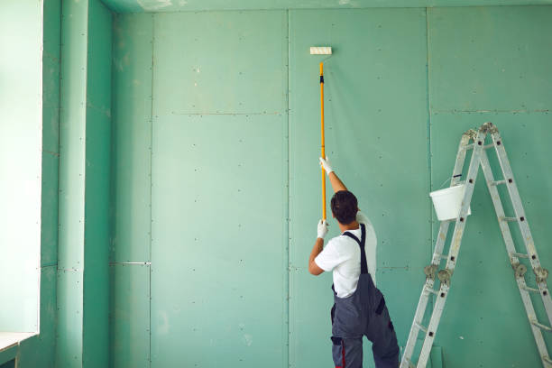 Best Basement Mold Removal  in Bay Shore, NY