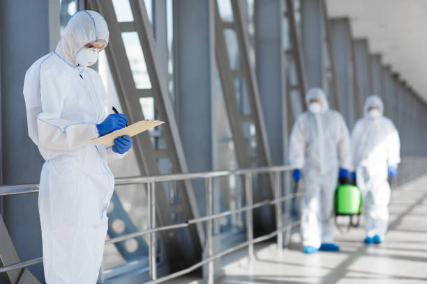 Best Real Estate Mold Inspection  in Bay Shore, NY
