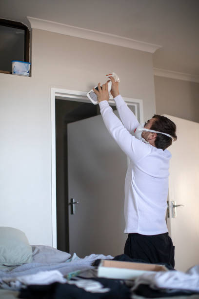 Trusted Bay Shore, NY Mold Removal Experts