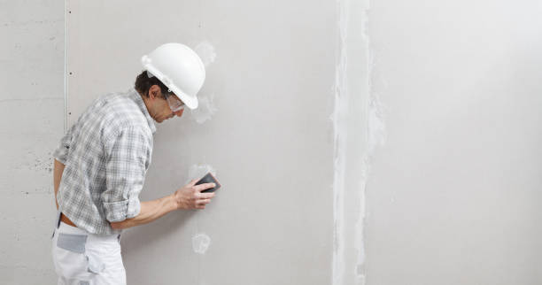 Best Comprehensive Air Testing for Mold Contaminants  in Bay Shore, NY