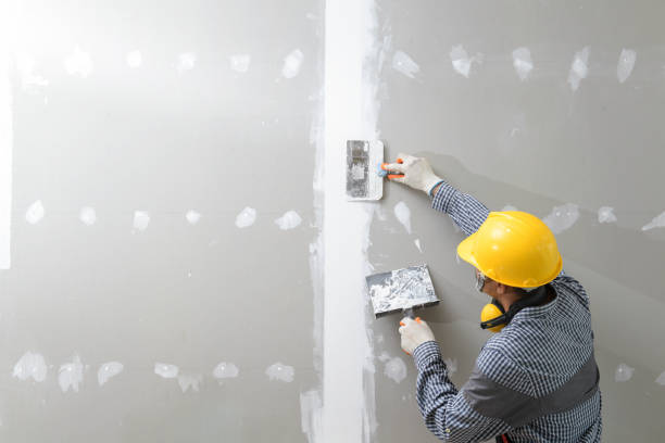 Best Black Mold Removal  in Bay Shore, NY