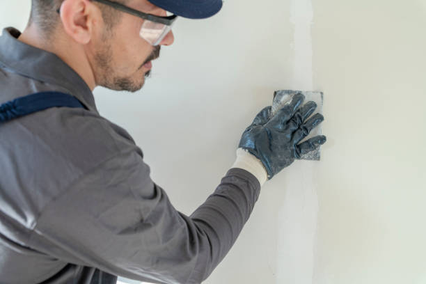 Best Attic Mold Removal  in Bay Shore, NY