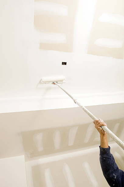 Environmental Consulting for Mold Prevention in Bay Shore, NY