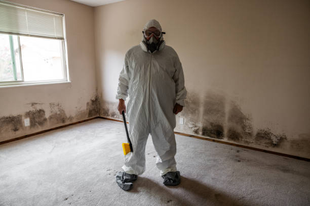 Best Post-Construction Mold Inspection  in Bay Shore, NY