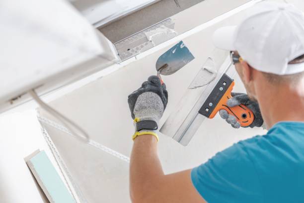 Best Mold Documentation for Insurance Claims  in Bay Shore, NY